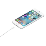 Apple  USB -C - To Lighting Adapter - Image 3