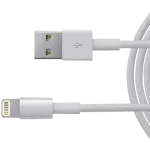 Apple  USB -C - To Lighting Adapter